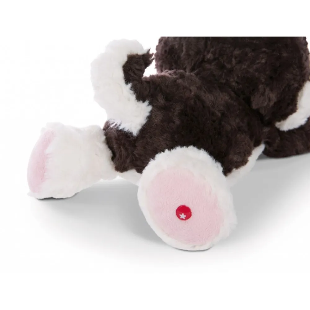 NICI Plüschtiere> Eyes Kuscheltier Husky Barkley 25Cm Liegend